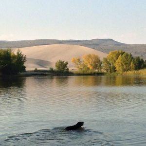 Meet your Posher, Jean